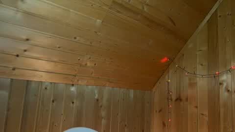 Snapshot of nikbusiness chatting on January 16, 2:30 pm Nick online show from January 16, 2:30 pm