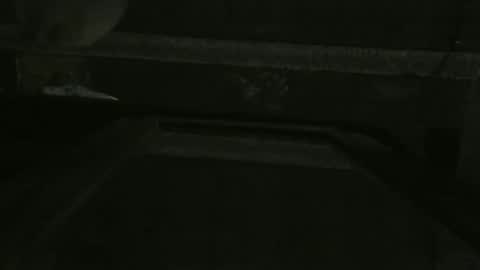 Nivek online show from February 4, 12:38 am