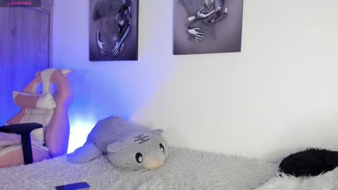 Noah online show from February 3, 4:04 am