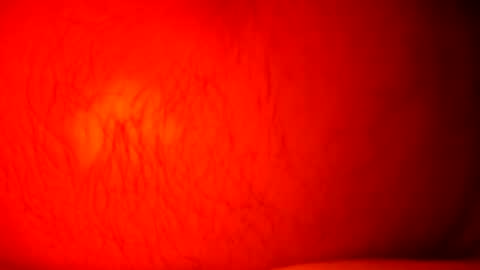 Snapshot of norbitomii chatting on September 24, 11:03 pm norbitomii online show from September 24, 11:03 pm