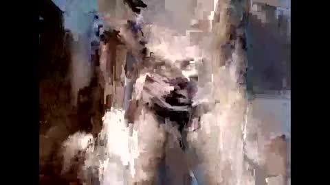 norm1996 online show from October 28, 8:44 pm