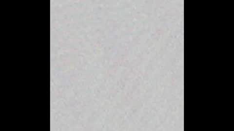 Obsidian stallion online show from November 10, 1:43 am