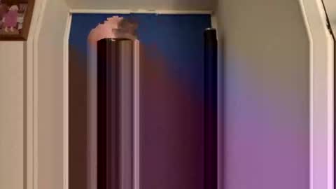 Snapshot of oiljames167 chatting on November 2, 2:38 am oiljames167 online show from November 2, 2:38 am