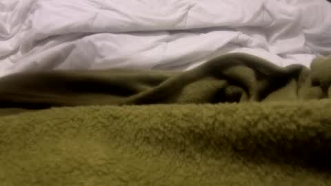 Chupapo online show from February 16, 7:06 am