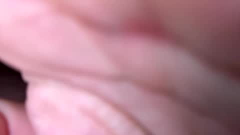 onh13 online show from April 29, 7:46 am