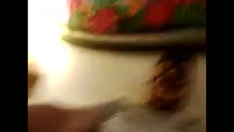 Onlyfun online show from June 4, 8:26 pm