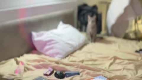 Justin online show from February 7, 1:46 am