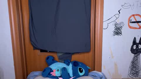 origamicat online show from December 16, 2:46 pm