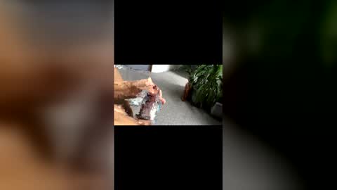 Oxo online show from February 12, 11:16 am