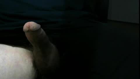 paleale4jp1 online show from January 17, 3:15 pm