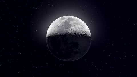 Paris online show from January 5, 10:46 pm