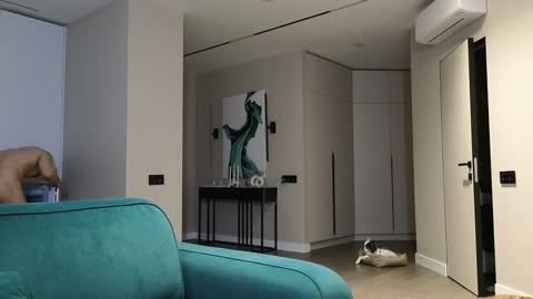 Pashka online show from October 31, 11:02 am