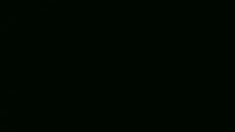 PaulCongo online show from April 22, 10:31 am