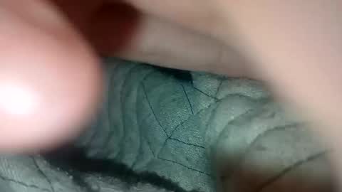 Paw online show from December 12, 11:58 pm