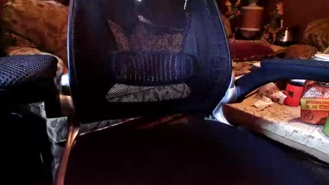 perfecto337 online show from November 1, 2:43 pm