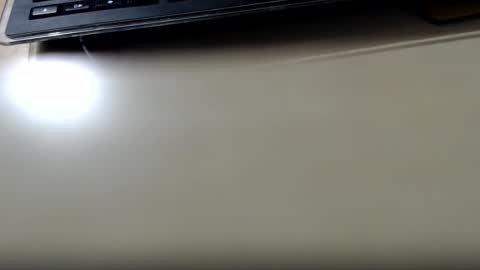 pier49x online show from October 12, 3:33 am