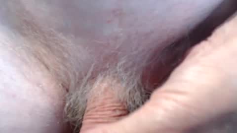 pier49x online show from November 8, 10:40 am