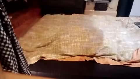 Snapshot of pisces922 chatting on January 10, 6:38 pm Dominik online show from January 10, 6:38 pm