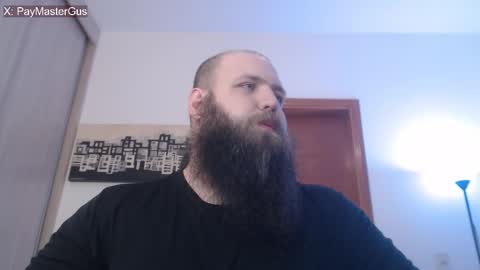 Bear online show from November 13, 2:05 am