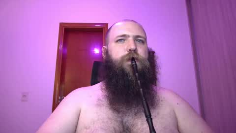 Bear online show from January 28, 5:43 am