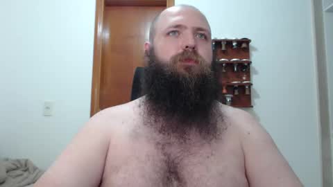 Bear online show from February 16, 2:11 am