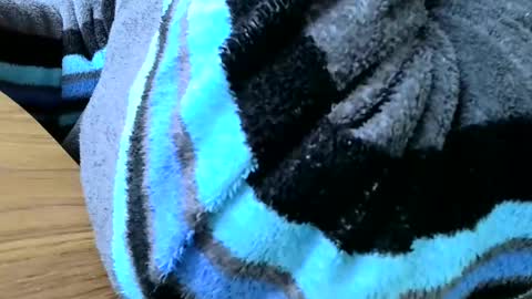 poshman65 online show from February 23, 12:54 pm