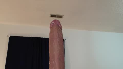 PrimDeceit online show from November 11, 1:54 am