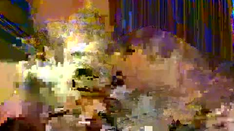 professor21255 online show from September 20, 1:33 pm