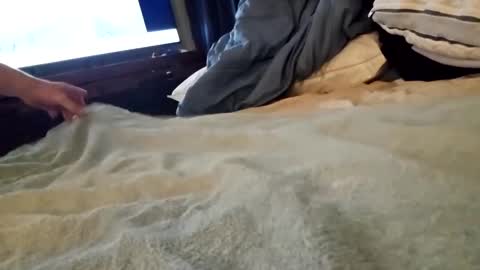 ptut82 online show from September 18, 7:10 am