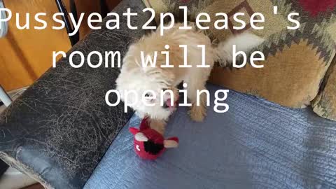 Rick online show from February 26, 7:31 am