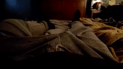 RavenR103 online show from March 8, 11:31 pm