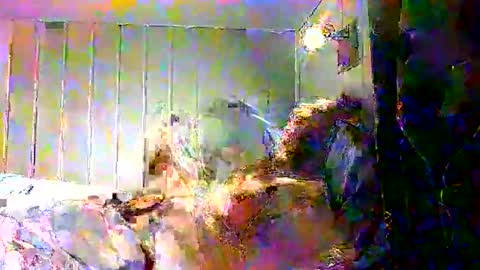 real_viking1 online show from December 17, 7:59 am