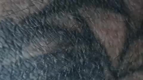 realrubpirate online show from March 18, 8:50 am