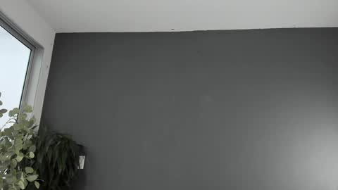 twitter REECET26 instagram RECCETAYLOR online show from December 17, 1:05 pm