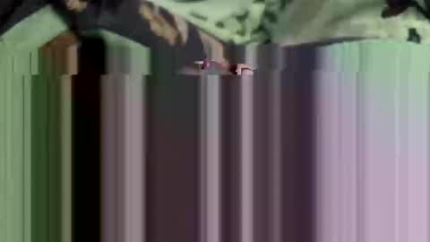 redneck200770 online show from December 1, 12:24 am