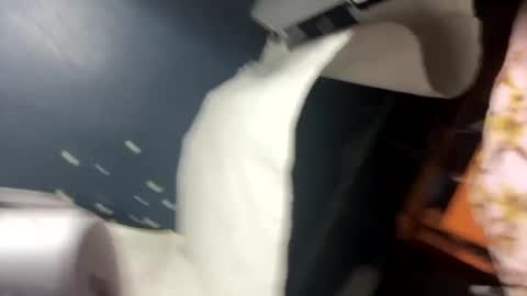 Snapshot of rg693669xxx chatting on February 28, 10:52 am rg693669xxx online show from February 28, 10:52 am