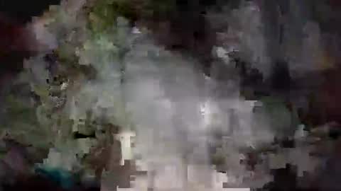 richard11268869 online show from December 24, 10:06 pm