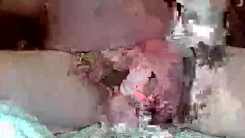 ringaroundmycock online show from March 17, 4:48 am