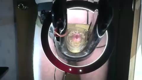 Snapshot of robodickmilker chatting on September 9, 10:41 pm Robodickmilker online show from September 9, 10:41 pm