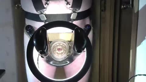 Snapshot of robodickmilker chatting on January 13, 7:21 am Robodickmilker online show from January 13, 7:21 am