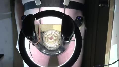 Snapshot of robodickmilker chatting on February 18, 8:47 pm Robodickmilker online show from February 18, 8:47 pm