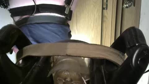 Snapshot of robodickmilker chatting on March 12, 7:06 pm Robodickmilker online show from March 12, 7:06 pm