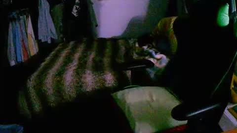 roktero 90 online show from December 16, 8:05 pm