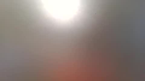 Trinked online show from December 21, 8:55 am