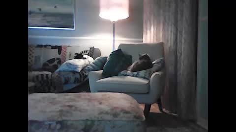 ronvlv online show from April 15, 3:17 am