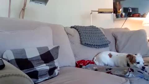 Rusty online show from October 3, 8:58 pm