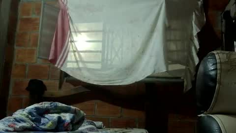 sakukeo6 online show from January 30, 6:35 am