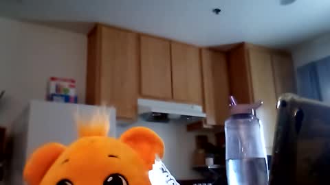 salis1981 online show from February 19, 12:40 am