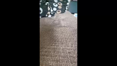 sambigdickk online show from February 27, 12:39 pm