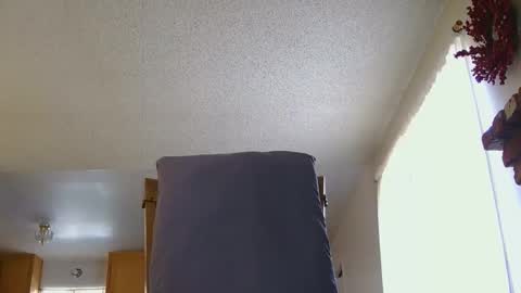 SamTheBully online show from November 29, 9:17 pm